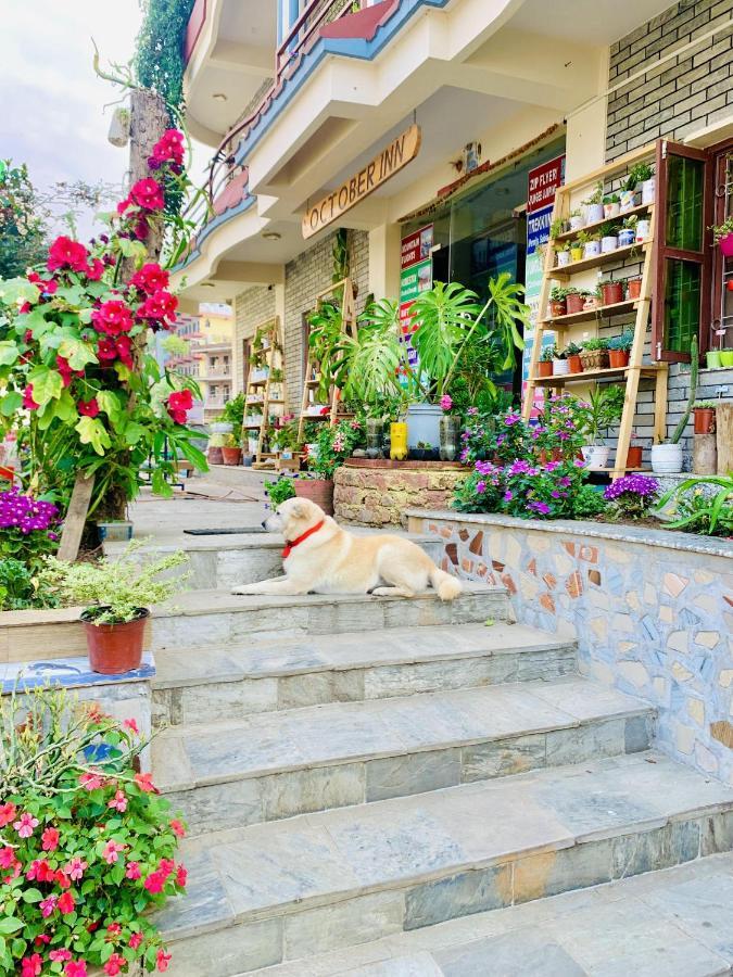 October Inn Pokhara Exterior foto